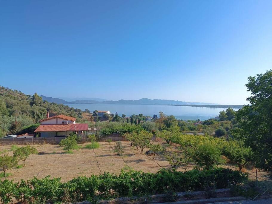 Ολόκληρος Όροφος Αγροτική Οικία Appartement Néos Pírgos Buitenkant foto