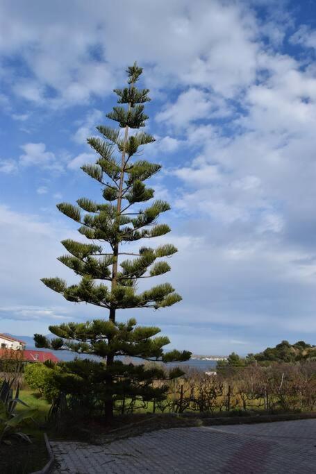 Ολόκληρος Όροφος Αγροτική Οικία Appartement Néos Pírgos Buitenkant foto