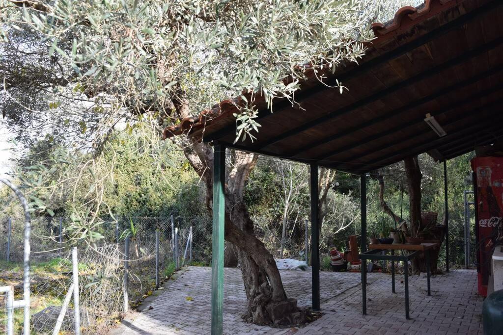 Ολόκληρος Όροφος Αγροτική Οικία Appartement Néos Pírgos Buitenkant foto