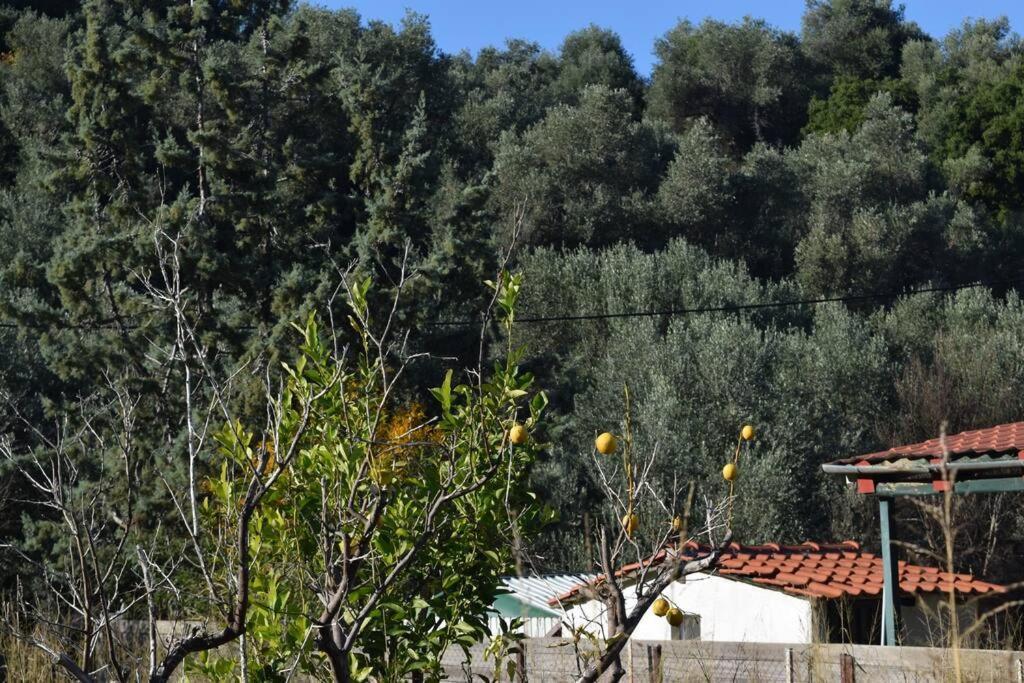 Ολόκληρος Όροφος Αγροτική Οικία Appartement Néos Pírgos Buitenkant foto