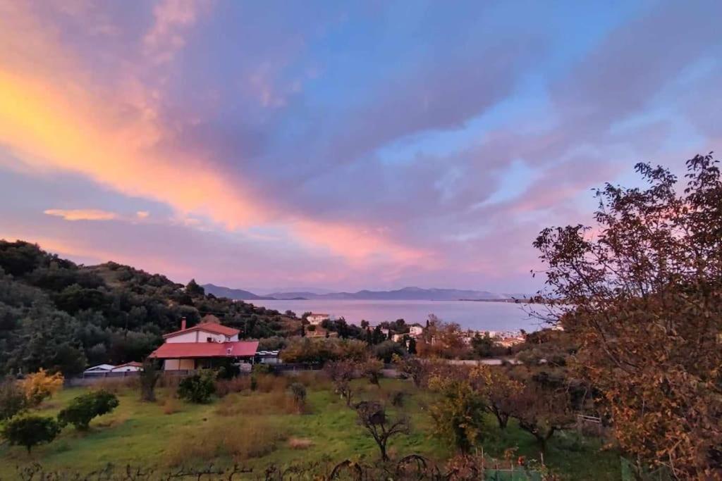 Ολόκληρος Όροφος Αγροτική Οικία Appartement Néos Pírgos Buitenkant foto